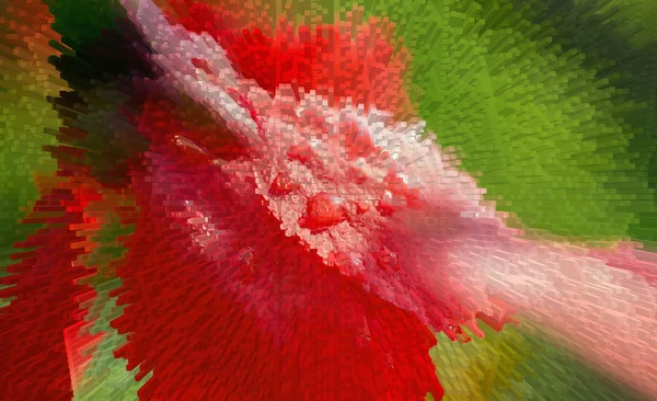 Fiore rosso primo piano su sfondo verde con gocce Estrusione — Foto Stock