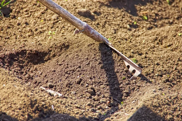 Rake rake to clean up the soil, cleaning in the garden and in th — Stock Photo, Image