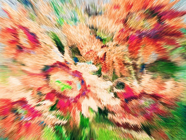 Texture di dipinti ad olio, fiori, frammento di pittura dipinta — Foto Stock