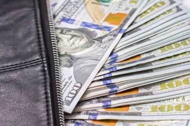 Doları bir cüzdan, yüz dolarlık banknot senin cüzdan yakın para harcamak için bir çanta içinde notlarım