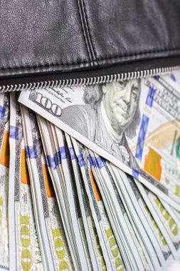 Doları bir cüzdan, yüz dolarlık banknot senin cüzdan yakın para harcamak için bir çanta içinde notlarım