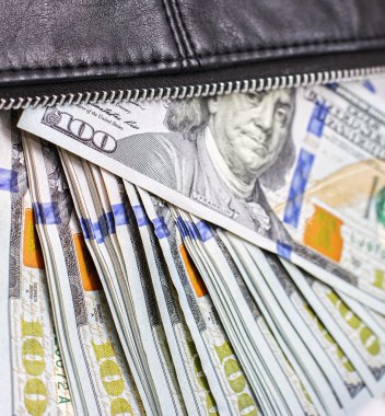 Doları bir cüzdan, yüz dolarlık banknot bir torba içinde notlarım,