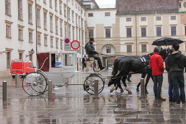 Austria Viena coche a pie caballo, Palacio de Hofburg, la zona Nov — Foto de Stock