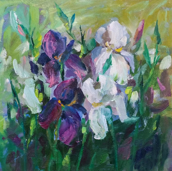 Måla stilleben oljemålning textur, Iris impressionism en — Stockfoto