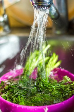 Taze maydanoz, dereotu duş, mutfak, yemekler, taze otlar yıkama yıkamak, sprey su