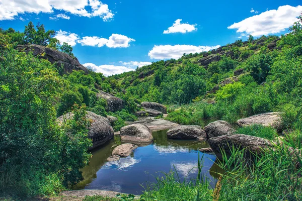 Каньон ландшафта горной реки скалы зеленые летом — стоковое фото