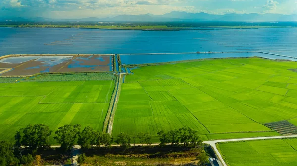 Hue Cidade Vietnã Onde Têm Muitas Belas Praias Flores Campos — Fotografia de Stock