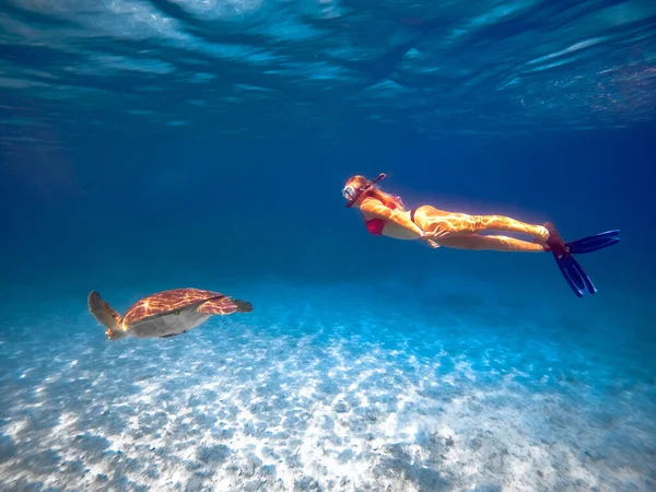 Plongeuse libre avec des nageoires bleues nager avec tortue sauvage en mer à Chypre, amoureux de l'océan, plongée avec tuba — Photo