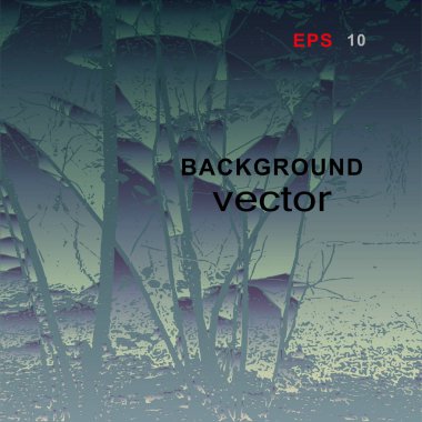 Arka plan, sabah sisi sırasında ormanın bir köşesini ya da alacakaranlık öncesi büyülü ormanın hassas gri gölgelerde durgunluk ve sükunet hissi yarattığını gösteriyor.