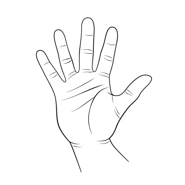 Obrys lidské dlaně — Stockový vektor