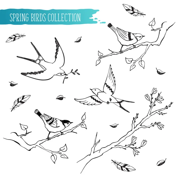 Kuşlar koleksiyonu kroki — Stok Vektör