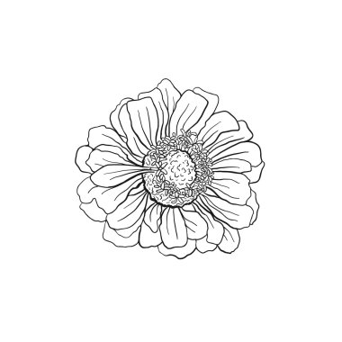 Çizilen çiçek koleksiyonu el