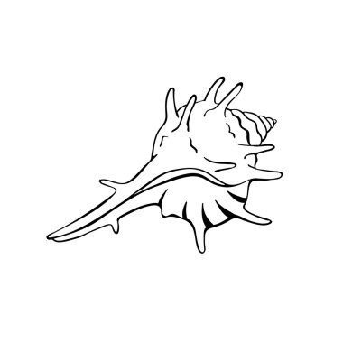 Deniz kabuğu simgesi