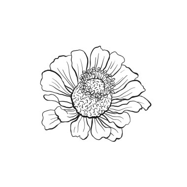 Çizilen çiçek koleksiyonu el