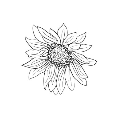 Çizilen çiçek koleksiyonu el