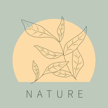 Metin, minimalist, yaprak, pastel renk, izole ögeler içeren vektör posteri veya arkaplan. 