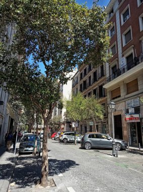 Madrid özerk bölgesinde bahar, İspanya