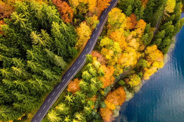 Sonbaharda sık orman ve göl manzarası. Arabası olmayan yalnız bir yol, sahneyi kesiyor..