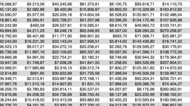 Grote Spreadsheet Tabel Met Veel Numerieke Dollar Data Beweging Verticaal — Stockvideo