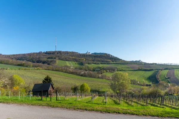 Kahlenberg Vienne Vue Sur Les Vignobles Station Radio Capitale Autriche — Photo