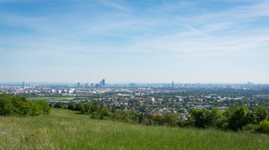 Bisamberg 'den görülen geniş panoramik Viyana silueti manzarası, açık mavi gökyüzü altında kentsel bölgeler, yeşil manzaralar ve uzak gökdelenler. Seyahat için ideal, şehir markalaşması