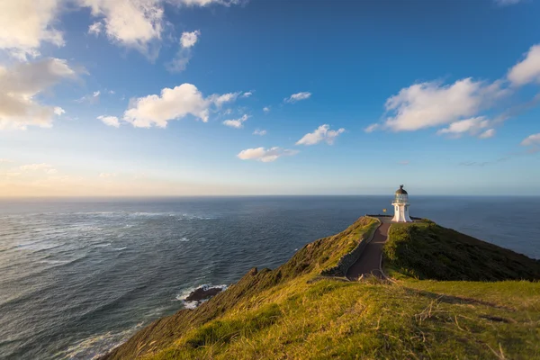 Cape Reinga Yeni Zelanda