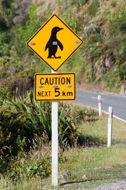 Penguen uyarı Yeni Zelanda