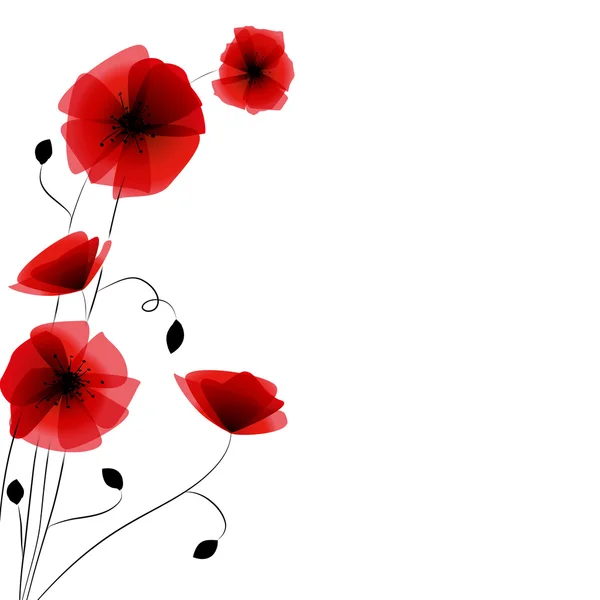 Poppies fundo —  Vetores de Stock