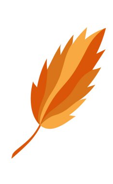 Rengarenk sonbahar portakal yaprağı