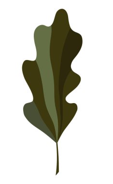 Çok renkli yalnız sonbahar yeşil meşe yaprağı