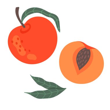 Şeftali seti, tamam ve kestik. Beyaz arka planda renkli, izole meyve nesneleri. Çizgi film biçimi.