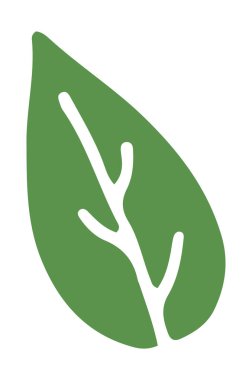 Sonbahar sade yeşil yaprak