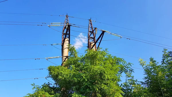 Güzel Yeşil Ağaçlar Arasında Elektrik Hattı ve Direk — Stok fotoğraf