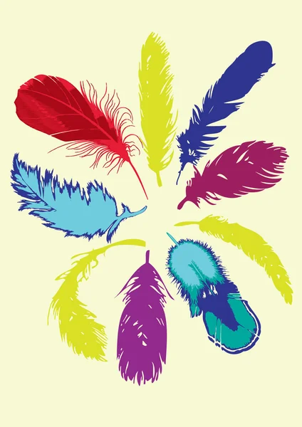 Цветные перья — стоковый вектор