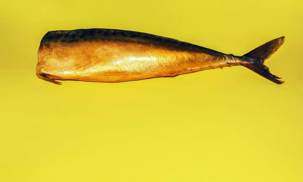 一条开胃的冷烟鲭鱼躺在黄色的背景上. — 图库照片