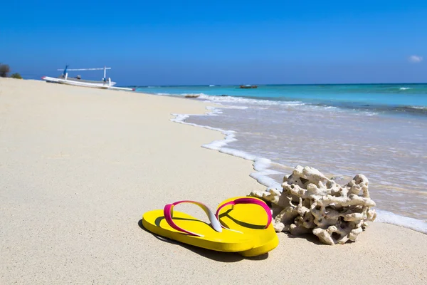 Bir plajda sarı slates