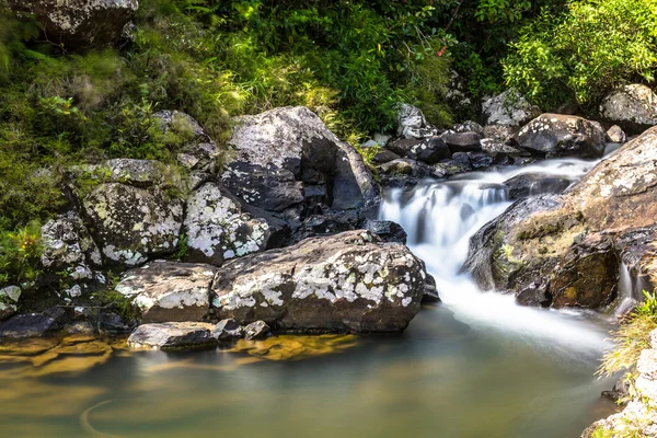 Mountain river in Mauritius national park