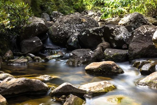 Mountain river in Mauritius national park