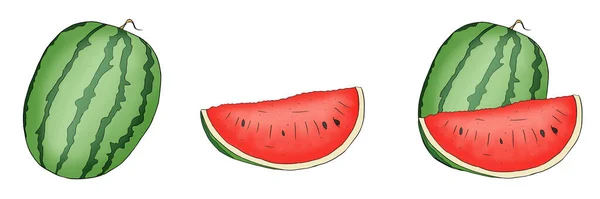 Eine Farbige Handgezeichnete Sammlung Von Wassermelonen Isoliert Einem Weißen Hintergrund — Stockvektor