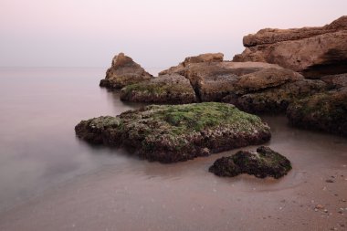 Agua Amarga Beach Alicante