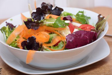 karışık sebze salatası