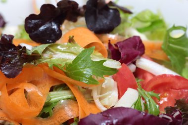 karışık sebze salatası