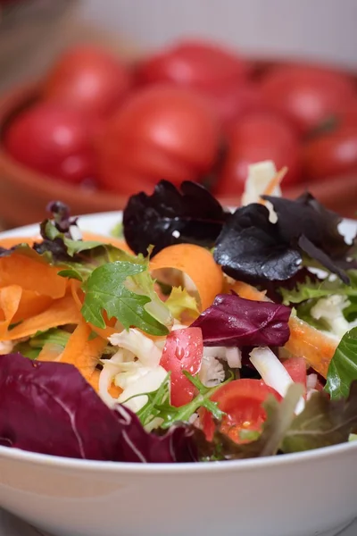 Gemischter Gemüsesalat — Stockfoto