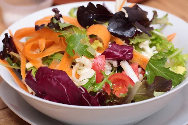 Gemischter Gemüsesalat — Stockfoto