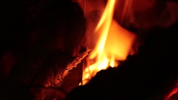 Las llamas de un fuego — Vídeos de Stock