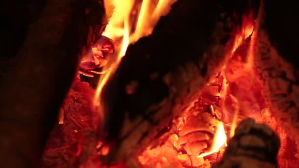 Flammen eines Feuers — Stockvideo