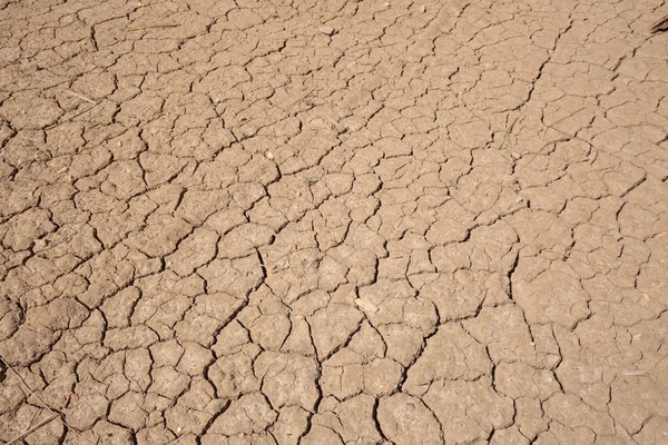 Sequía de tierra agrietada —  Fotos de Stock