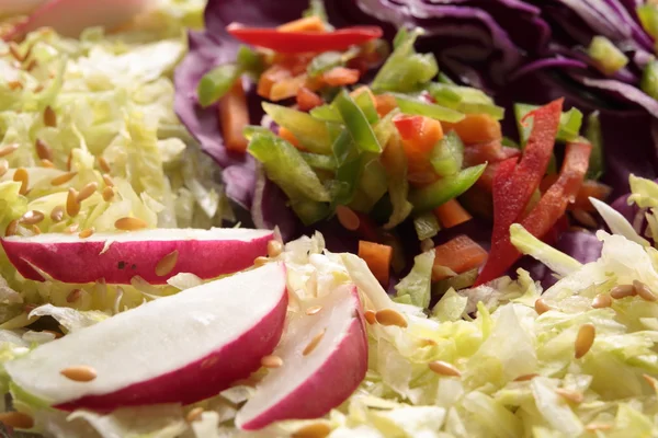 Karışık salata Julienne kesilmiş şeritler — Stok fotoğraf