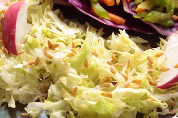 Gemischter Salat in Juliennestreifen geschnitten — Stockfoto