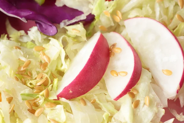 Gemischter Salat in Juliennestreifen geschnitten — Stockfoto